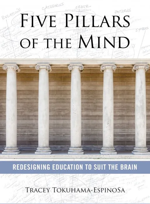 Five Pillars of the Mind: Redesigning Education to Suit the Brain