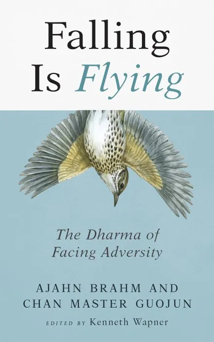 Falling is Flying: The Dharma of Facing Adversity