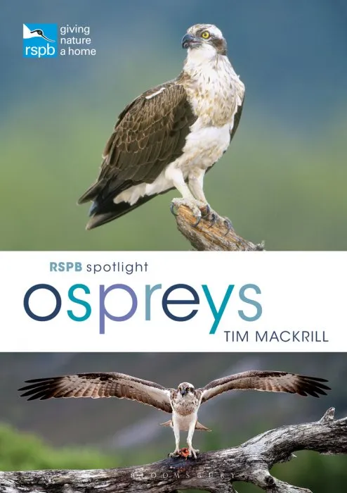 RSPB Spotlight Osprey (RSPB)