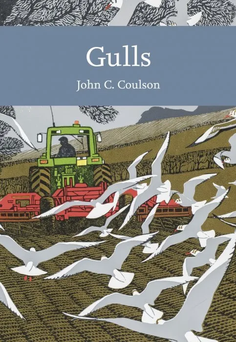 Gulls: Collins New Naturalist Library, Book 139 (Collins New Naturalist Library)