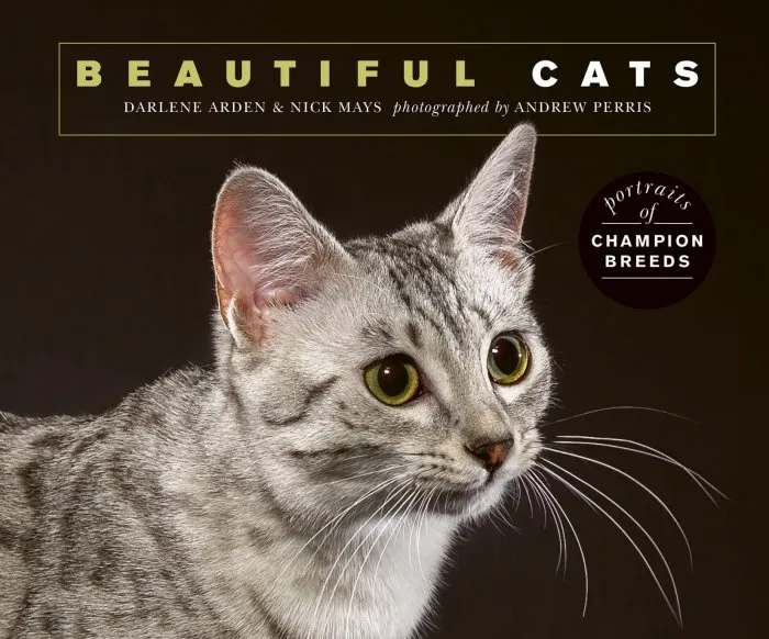 Beautiful Cats: Portraits of champion breeds (Beautiful Animals)