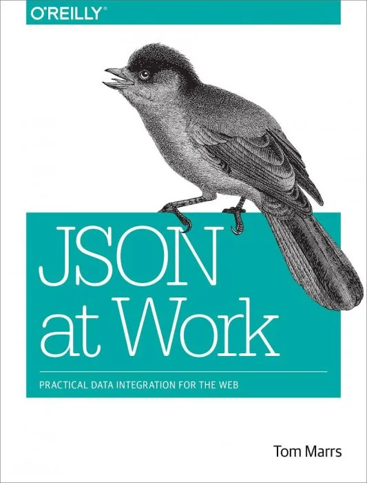 JSON at Work : Practical Data Integration for the Web