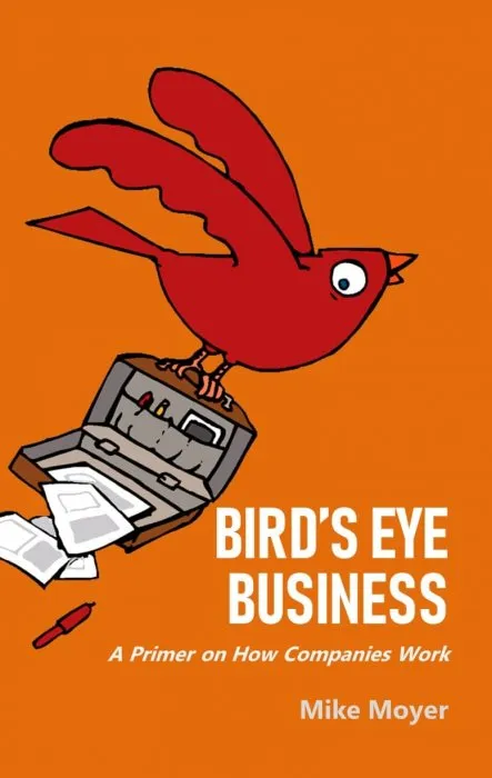 Bird's Eye Business: A Primer on How Companies Work