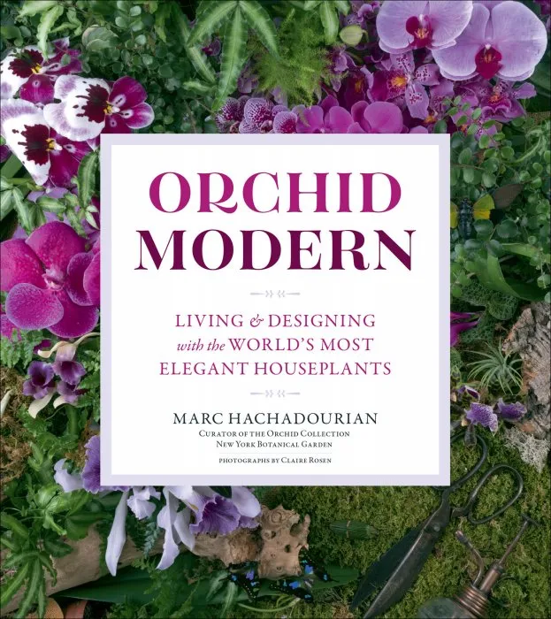 Orchid Modern: Living and Designing with the World's Most Elegant Houseplants