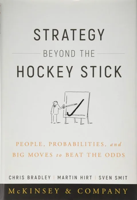 Strategy Beyond the Hockey Stick: People, Probabilities, and Big Moves to Beat the Odds