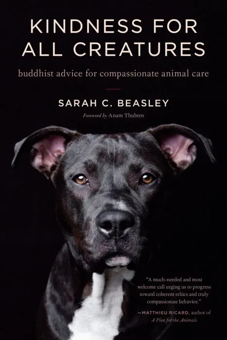 Kindness for All Creatures: Buddhist Advice for Compassionate Animal Care (Trilogy of Rest)