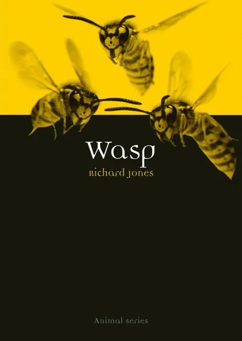 Wasp (Animal)