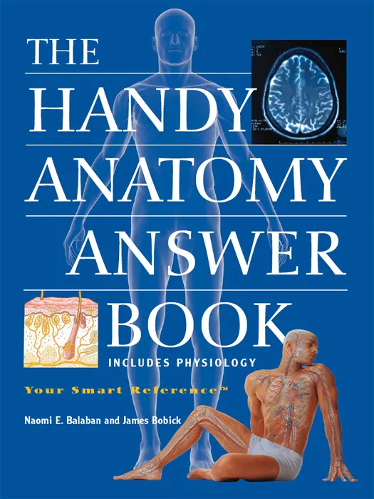 The Handy Anatomy Answer Book (The Handy Answer Book)