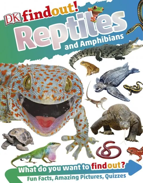 DK findout! Reptiles and Amphibians (DK findout!)