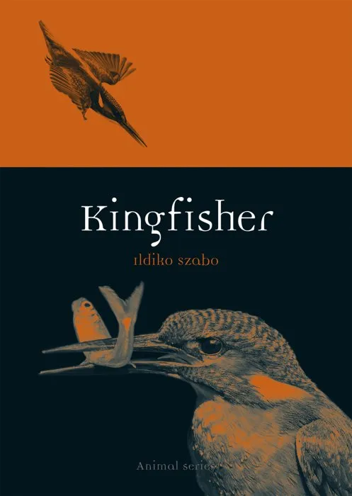 Kingfisher (Animal)