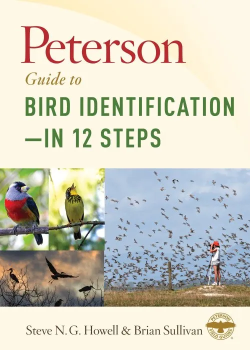 Peterson Guide to Bird Identification—in 12 Steps (Peterson Field Guides)