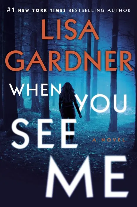 When You See Me: A Novel (Detective D.D. Warren, Book 11)