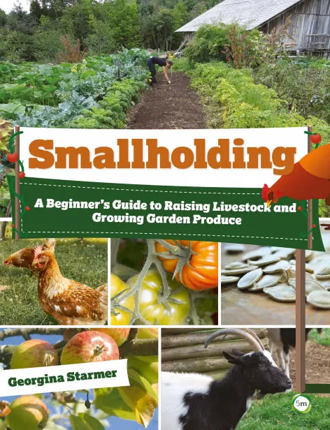 Smallholding : A Beginner's Guide to Raising Livestock and Growing Garden Produce