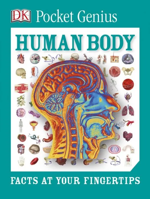 Human Body: Facts at Your Fingertips (Pocket Genius)