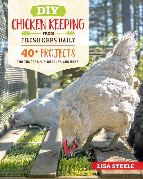DIY Chicken Keeping from Fresh Eggs Daily: 40+ Projects for the Coop, Run, Brooder, and More!