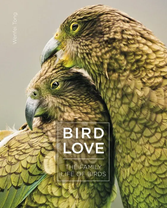 Bird Love: The Family Life of Birds