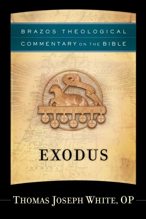 Exodus (Brazos Theological Commentary on the Bible)
