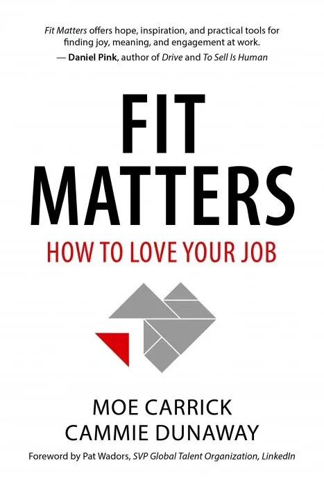 Fit Matters: How to Love Your Job
