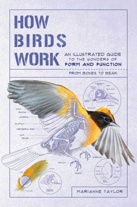 How Birds Work: An Illustrated Guide to the Wonders of Form and Function―from Bones to Beak