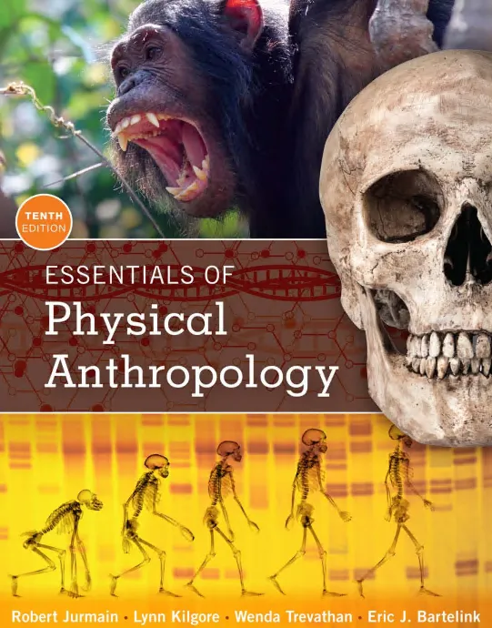 Essentials of Physical Anthropology, 10th Edition