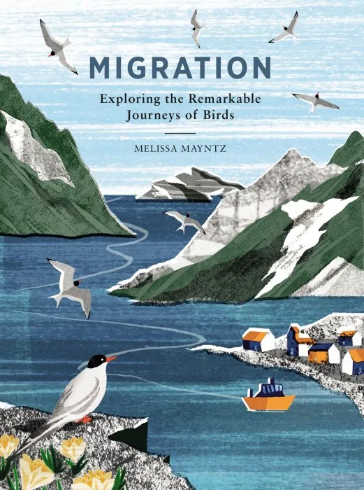 Migration: Exploring the remarkable journeys of birds