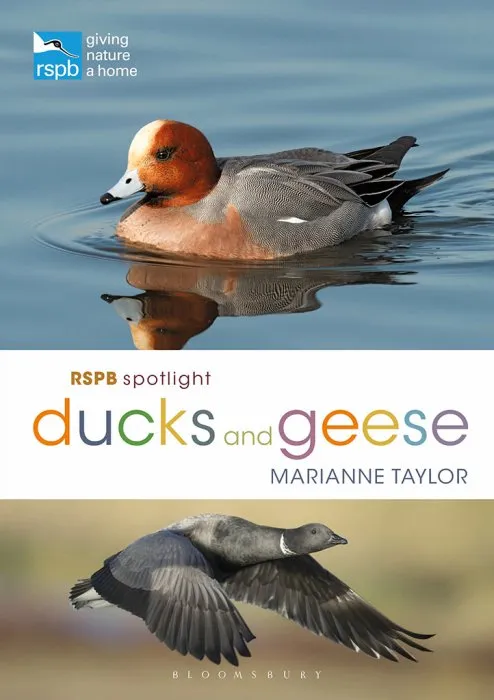 RSPB Spotlight Ducks and Geese (RSPB)