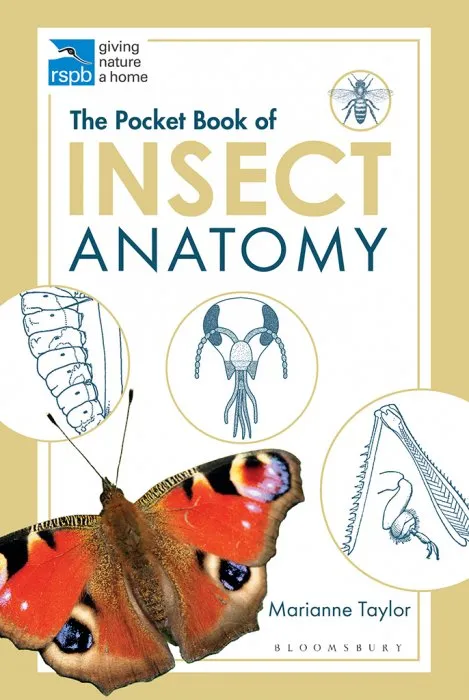 The Pocket Book of Insect Anatomy (RSPB)