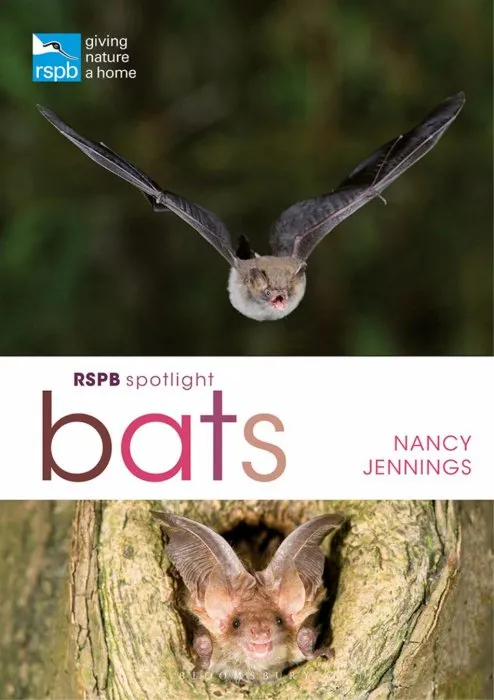 RSPB Spotlight Bats (RSPB)