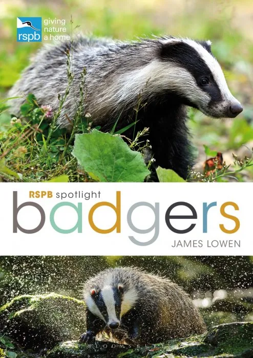 RSPB Spotlight Badgers (RSPB)