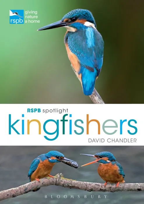 RSPB Spotlight Kingfishers (RSPB)