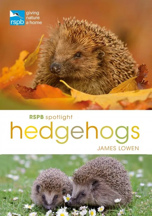 RSPB Spotlight Hedgehogs (RSPB)
