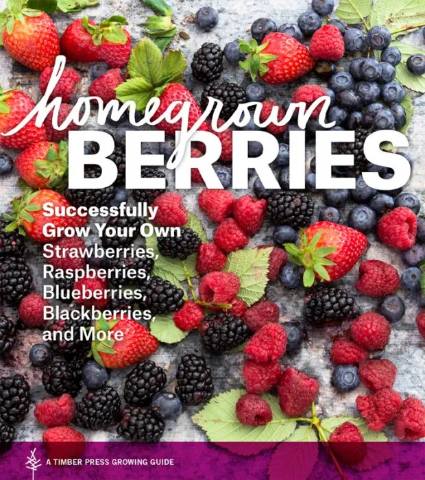 Homegrown Berries: Successfully Grow Your Own Strawberries, Raspberries, Blueberries, Blackberries, and More