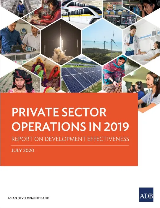 Private Sector Operations in 2019: Report on Development Effectiveness (Development Effectiveness Reports: Private Sector Operations)