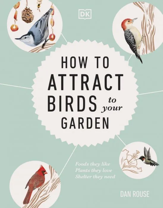 How to Attract Birds to Your Garden: Foods they like, plants they love, shelter they need