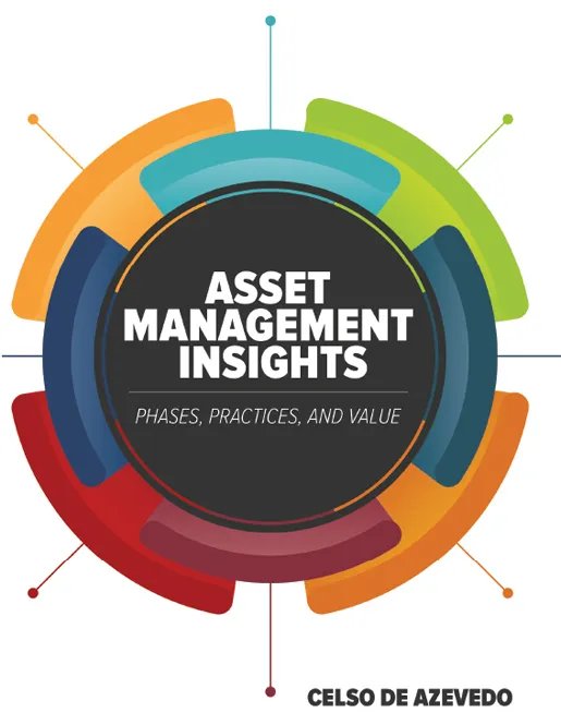 Asset Management Insights: Phases, Practices, and Value