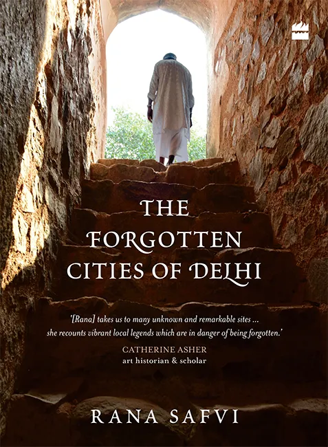 The Forgotten Cities of Delhi: Book Two in the Where Stones Speak trilogy
