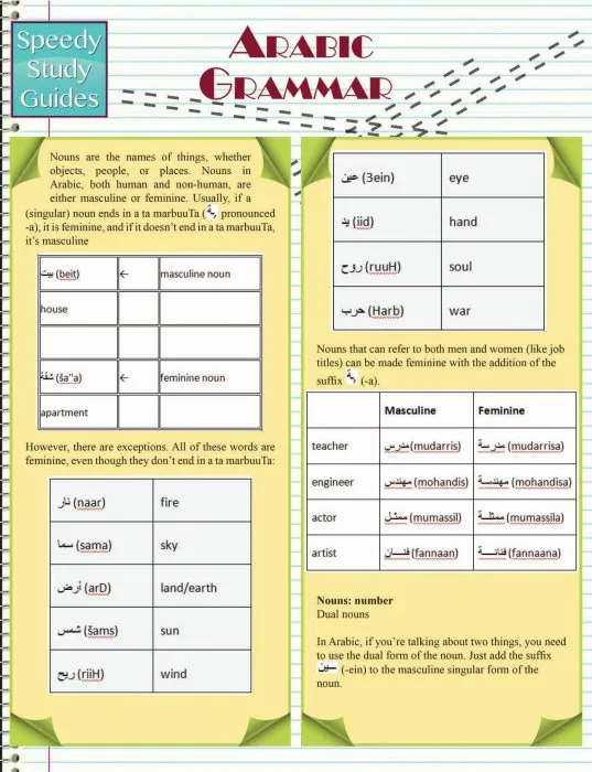 Arabic Grammar (Speedy Study Guides)