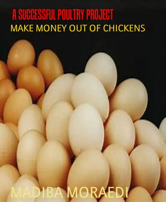 A Successful Poultry Projec: Make Money Out of Chichens