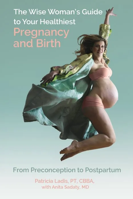 The Wise Woman's Guide to Your Healthiest Pregnancy and Birth: From Preconception to Postpartum