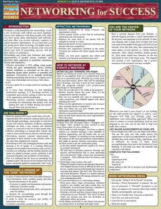 Networking for Success (Quick Study Business)