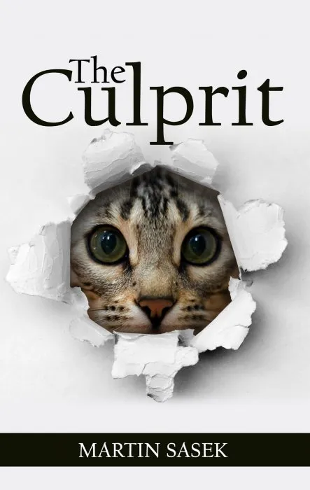 The Culprit