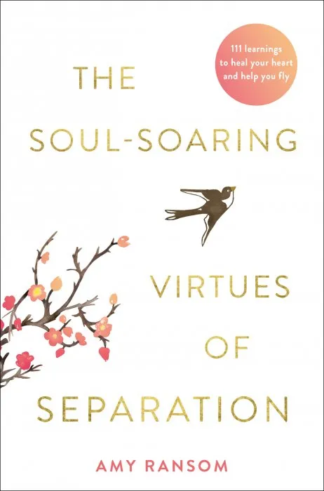 The Soul-Soaring Virtues of Separation: 111 Learnings to Heal Your Heart and Help You Fly