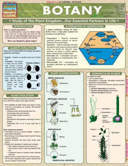 Botany (Quick Study Academic)