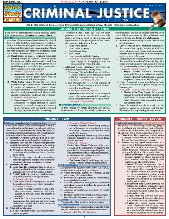 Criminal Justice (Quick Study Academic)