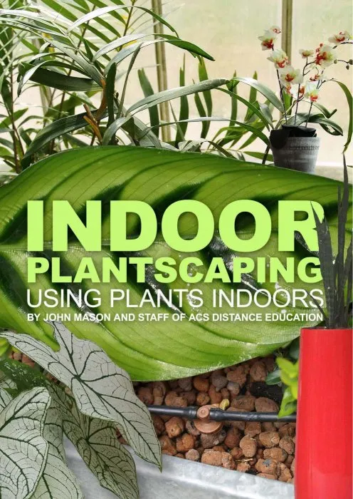 Indoor Plantscaping