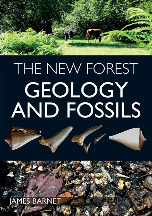 New Forest: Geology and Fossils