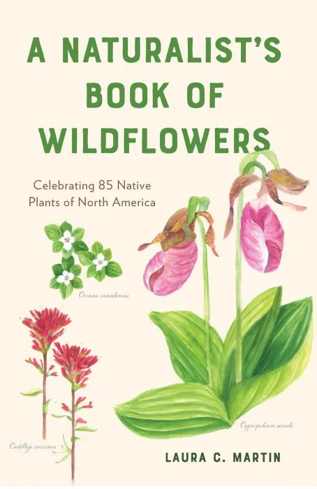 A Naturalist's Book of Wildflowers: Celebrating 85 Native Plants in North America