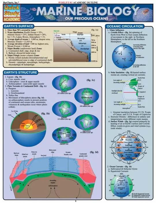 Marine Biology (Quick Study Academic)