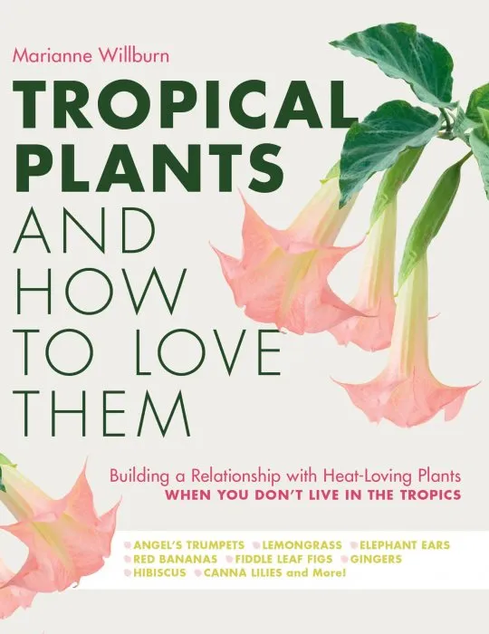 Tropical Plants and How to Love Them: Building a relationship with heat-loving plants when you don't live in the tropics.