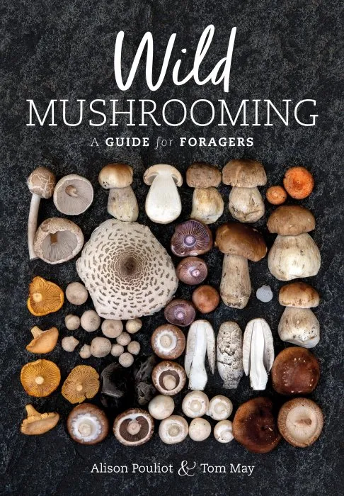 Wild Mushrooming : A Guide for Foragers